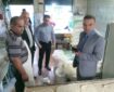 فرماندار رضوانشهر از برخی نانوایی های سطح شهرستان بازدید کرد